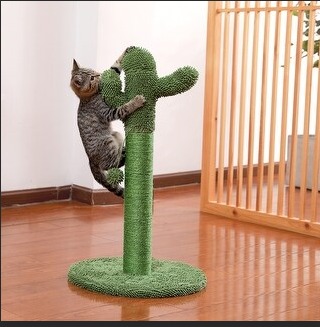 Griffoir, arbre à chat Poils bebe